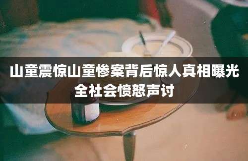 山童震惊山童惨案背后惊人真相曝光全社会愤怒声讨
