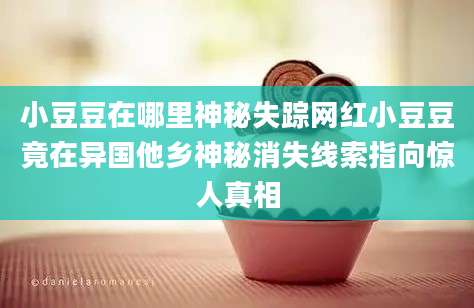 小豆豆在哪里神秘失踪网红小豆豆竟在异国他乡神秘消失线索指向惊人真相