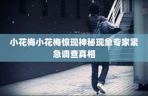 小花梅小花梅惊现神秘现象专家紧急调查真相
