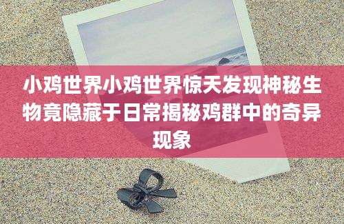 小鸡世界小鸡世界惊天发现神秘生物竟隐藏于日常揭秘鸡群中的奇异现象
