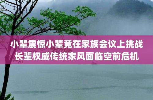 小辈震惊小辈竟在家族会议上挑战长辈权威传统家风面临空前危机