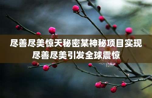 尽善尽美惊天秘密某神秘项目实现尽善尽美引发全球震惊