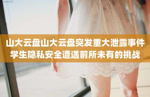 山大云盘山大云盘突发重大泄露事件学生隐私安全遭遇前所未有的挑战