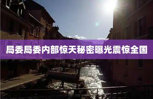 局委局委内部惊天秘密曝光震惊全国