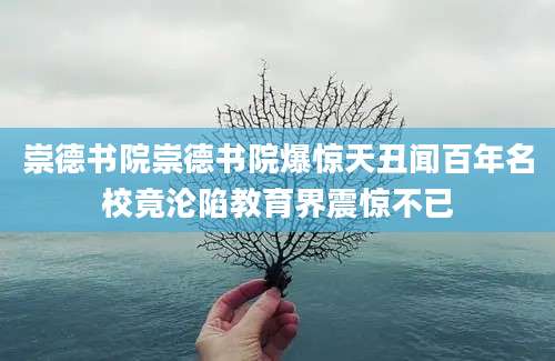 崇德书院崇德书院爆惊天丑闻百年名校竟沦陷教育界震惊不已