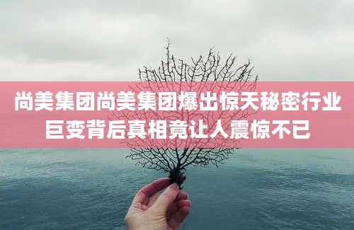 尚美集团尚美集团爆出惊天秘密行业巨变背后真相竟让人震惊不已
