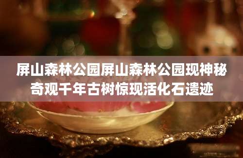 屏山森林公园屏山森林公园现神秘奇观千年古树惊现活化石遗迹