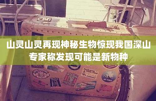 山灵山灵再现神秘生物惊现我国深山专家称发现可能是新物种