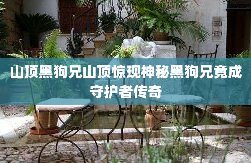 山顶黑狗兄山顶惊现神秘黑狗兄竟成守护者传奇