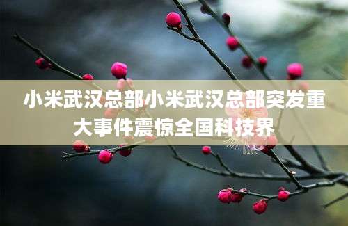 小米武汉总部小米武汉总部突发重大事件震惊全国科技界