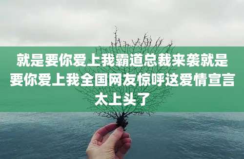 就是要你爱上我霸道总裁来袭就是要你爱上我全国网友惊呼这爱情宣言太上头了
