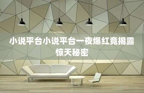 小说平台小说平台一夜爆红竟揭露惊天秘密