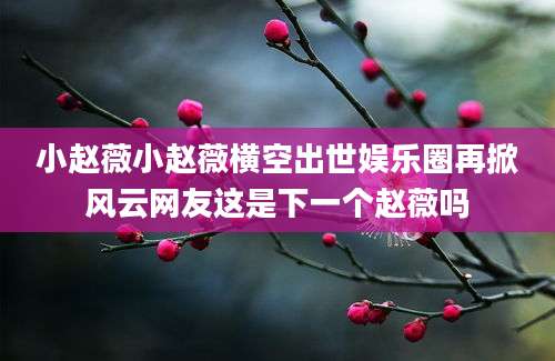 小赵薇小赵薇横空出世娱乐圈再掀风云网友这是下一个赵薇吗