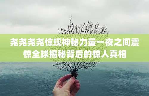 尧尧尧尧惊现神秘力量一夜之间震惊全球揭秘背后的惊人真相