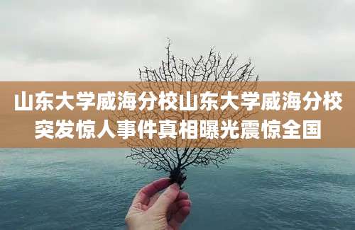 山东大学威海分校山东大学威海分校突发惊人事件真相曝光震惊全国