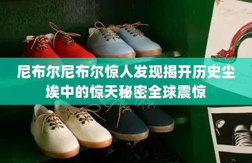 尼布尔尼布尔惊人发现揭开历史尘埃中的惊天秘密全球震惊