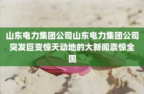 山东电力集团公司山东电力集团公司突发巨变惊天动地的大新闻震惊全国