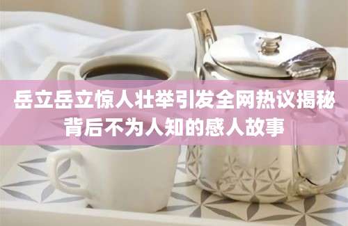 岳立岳立惊人壮举引发全网热议揭秘背后不为人知的感人故事