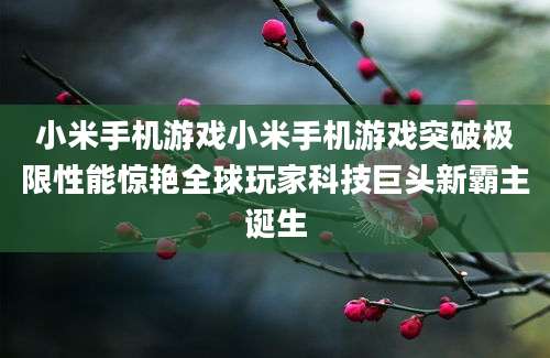 小米手机游戏小米手机游戏突破极限性能惊艳全球玩家科技巨头新霸主诞生