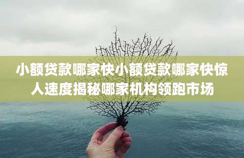 小额贷款哪家快小额贷款哪家快惊人速度揭秘哪家机构领跑市场