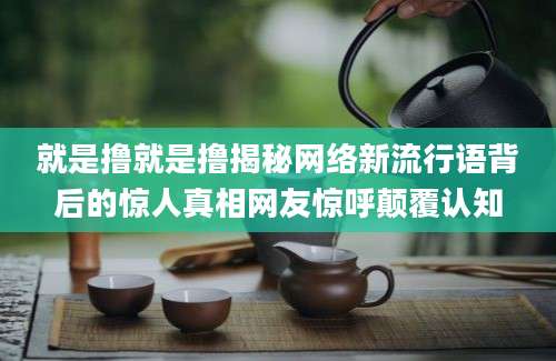 就是撸就是撸揭秘网络新流行语背后的惊人真相网友惊呼颠覆认知