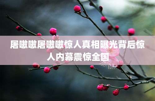 屠嗷嗷屠嗷嗷惊人真相曝光背后惊人内幕震惊全国