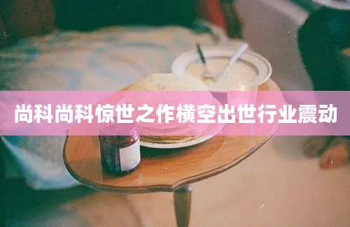 尚科尚科惊世之作横空出世行业震动
