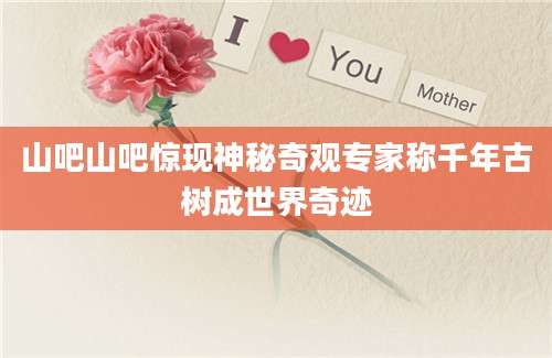 山吧山吧惊现神秘奇观专家称千年古树成世界奇迹