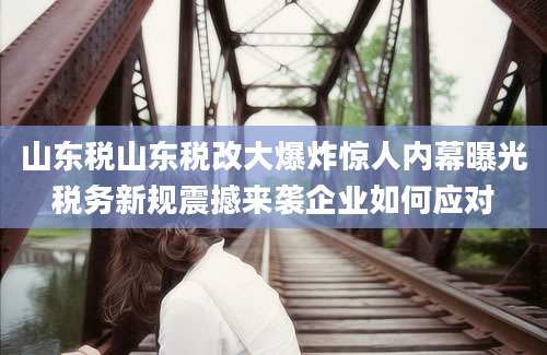 山东税山东税改大爆炸惊人内幕曝光税务新规震撼来袭企业如何应对