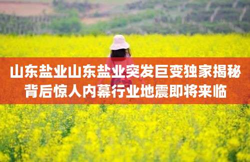 山东盐业山东盐业突发巨变独家揭秘背后惊人内幕行业地震即将来临
