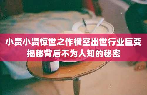 小贤小贤惊世之作横空出世行业巨变揭秘背后不为人知的秘密
