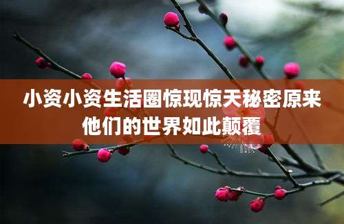 小资小资生活圈惊现惊天秘密原来他们的世界如此颠覆