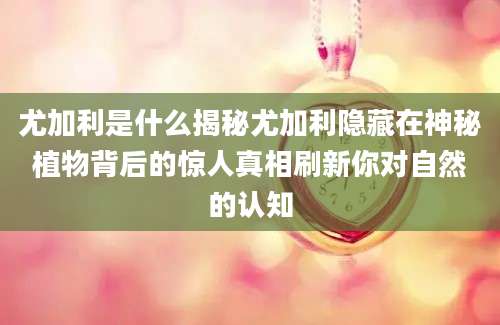 尤加利是什么揭秘尤加利隐藏在神秘植物背后的惊人真相刷新你对自然的认知