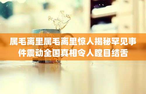 属毛离里属毛离里惊人揭秘罕见事件震动全国真相令人瞠目结舌