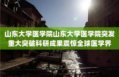 山东大学医学院山东大学医学院突发重大突破科研成果震惊全球医学界