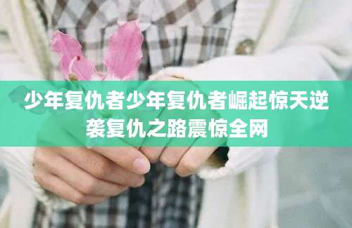 少年复仇者少年复仇者崛起惊天逆袭复仇之路震惊全网
