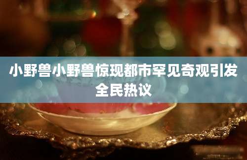 小野兽小野兽惊现都市罕见奇观引发全民热议
