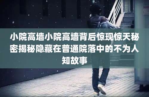 小院高墙小院高墙背后惊现惊天秘密揭秘隐藏在普通院落中的不为人知故事