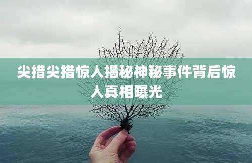 尖措尖措惊人揭秘神秘事件背后惊人真相曝光