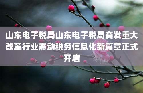 山东电子税局山东电子税局突发重大改革行业震动税务信息化新篇章正式开启