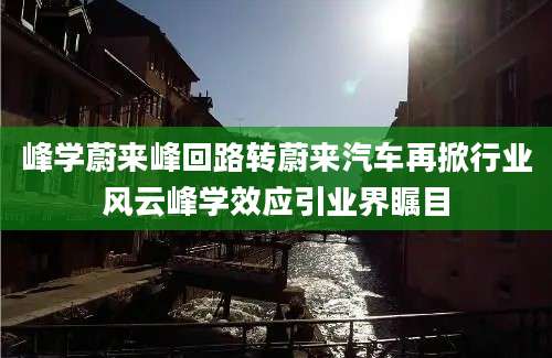 峰学蔚来峰回路转蔚来汽车再掀行业风云峰学效应引业界瞩目