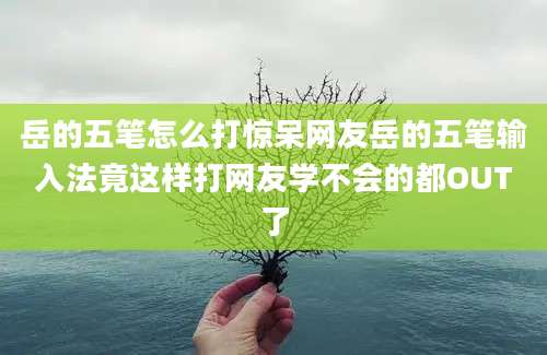 岳的五笔怎么打惊呆网友岳的五笔输入法竟这样打网友学不会的都OUT了