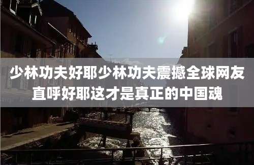 少林功夫好耶少林功夫震撼全球网友直呼好耶这才是真正的中国魂