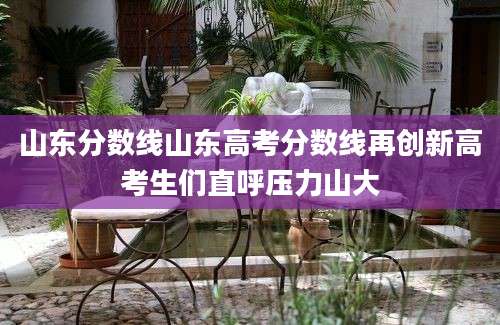 山东分数线山东高考分数线再创新高考生们直呼压力山大