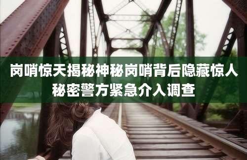 岗哨惊天揭秘神秘岗哨背后隐藏惊人秘密警方紧急介入调查
