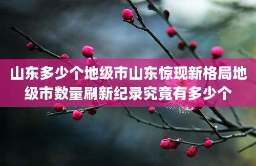 山东多少个地级市山东惊现新格局地级市数量刷新纪录究竟有多少个