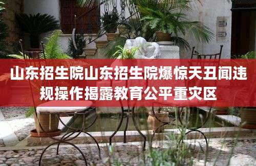 山东招生院山东招生院爆惊天丑闻违规操作揭露教育公平重灾区