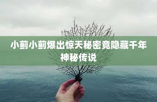 小蓟小蓟爆出惊天秘密竟隐藏千年神秘传说