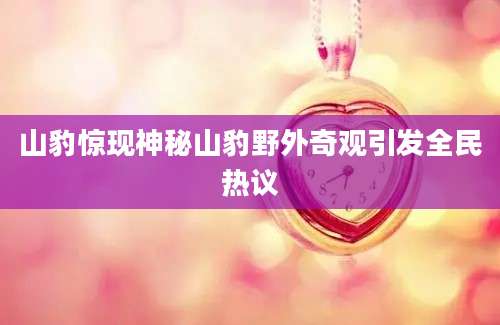 山豹惊现神秘山豹野外奇观引发全民热议