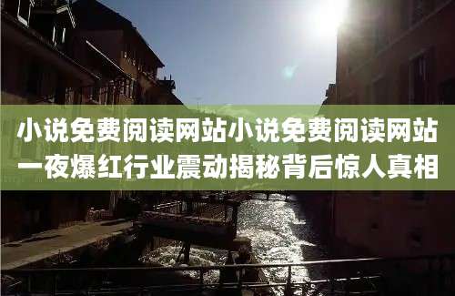 小说免费阅读网站小说免费阅读网站一夜爆红行业震动揭秘背后惊人真相